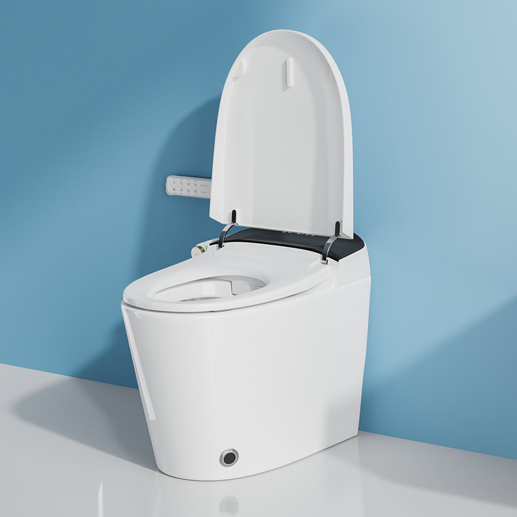 Home Decoration Bathroom Smart - đánh giá và giá Smart Home Decor