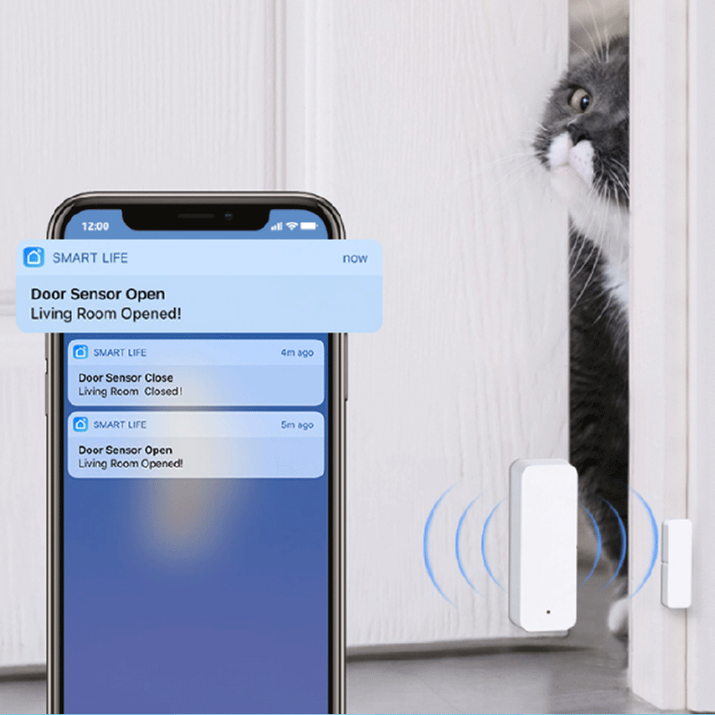 Tuya WiFi Zigbee Door Window S - đánh giá và giá Smart Home Tuya