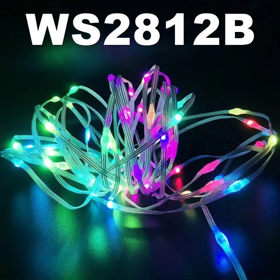 WS2812B LED Light String Smart - đánh giá và giá Smart Home Decor
