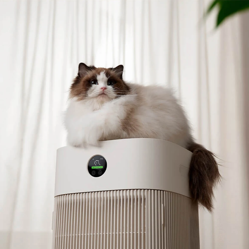 Cats Hair Fast Absorb Dogs Hai - đánh giá và giá Smart Air Purifier