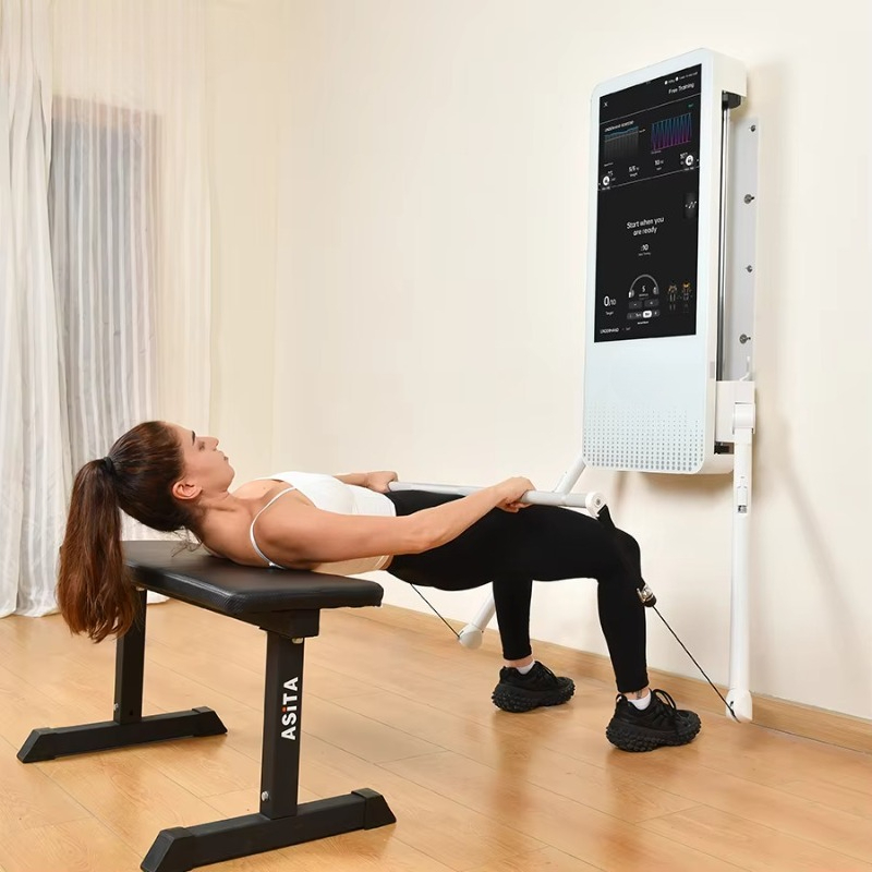 Multifunctional Home Fitness E - đánh giá và giá Smart Home Gym